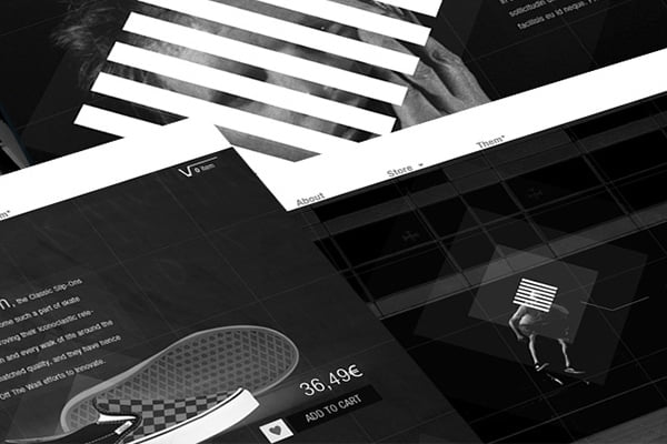 Vans Iconic website mockup preview